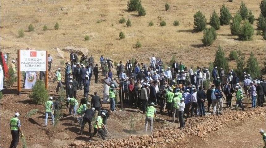 Mardin&rsquo;de 15 Temmuz Şehitleri Anısına Hatıra Ormanı Oluşturuldu