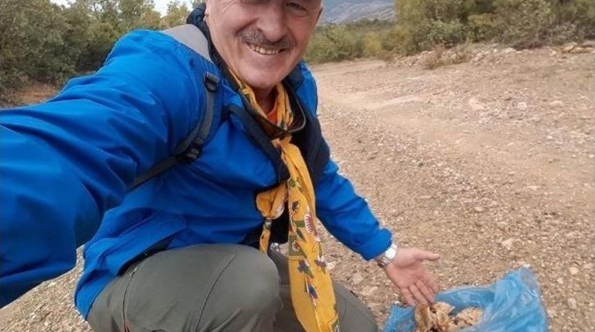 Uludağ Ormanlarında Mantar Bereketi