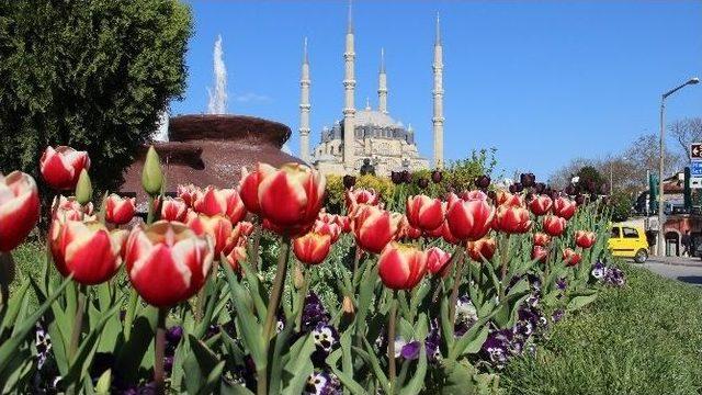 Kıymet Teyze Parkı Davaya Takıldı