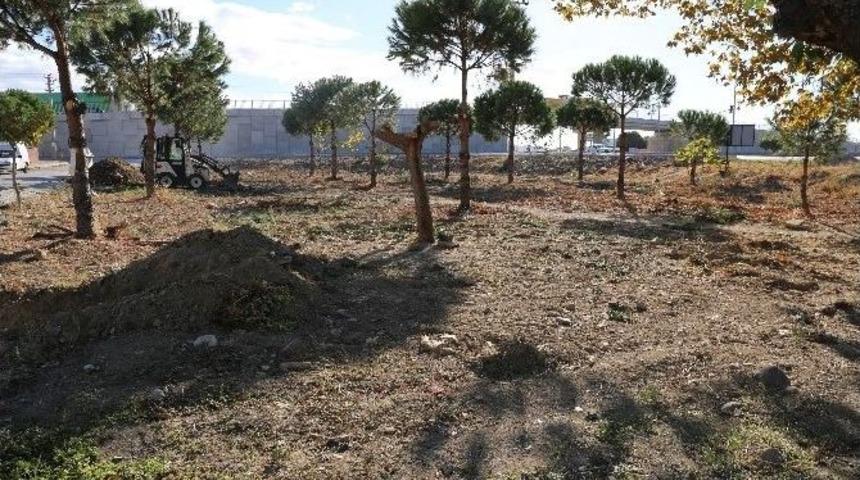 Ahmet &Ccedil;elik Parkı İ&ccedil;in &Ccedil;alışmalar Başladı