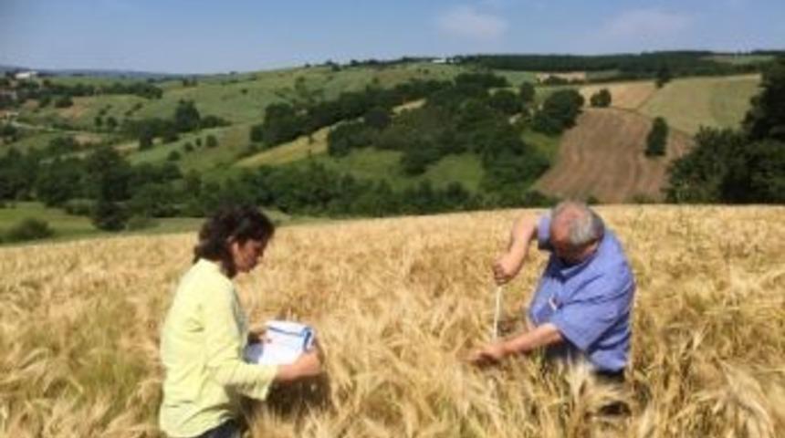 B&uuml;y&uuml;kşehir &Ccedil;ift&ccedil;iye Tohum Dağıtımı Yapacak