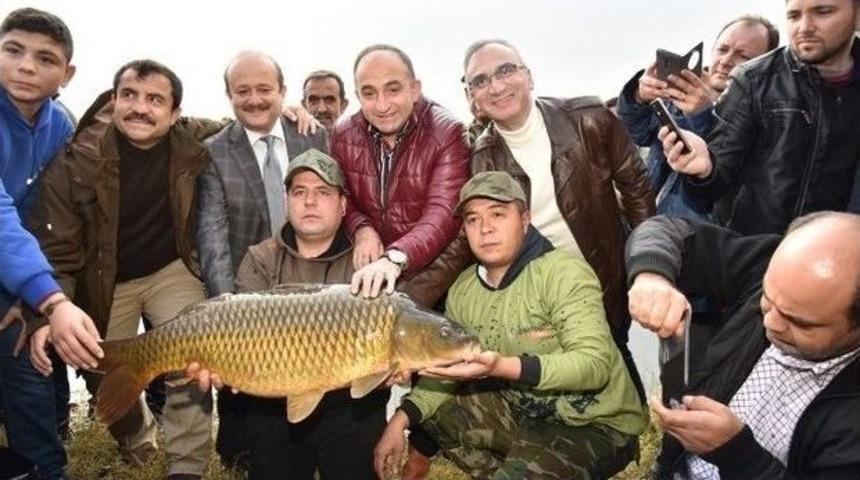 Kartepe&rsquo;de Sazan Kupası Başlıyor