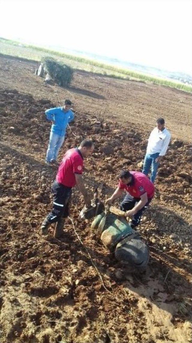 Bataklığa Saplanan Eşek Kurtarıldı 2