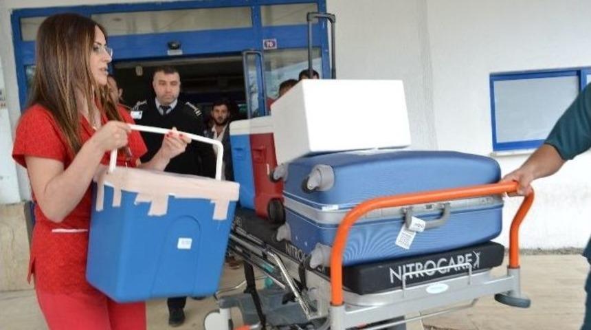 Organlarıyla 3 Kişiye Umut Olacak