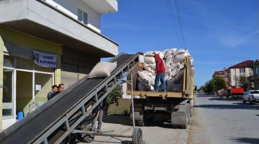 Ala&ccedil;am Tmo &Ccedil;eltik Alımına Başladı