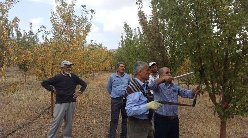 &lsquo;2016 Yılı G&uuml;z D&ouml;nemi Malatya İli Tarımsal Yayım Ve Eğitim&rsquo; Programı Başladı
