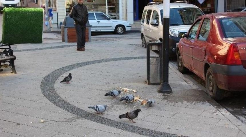 İzmit Belediyesi Vatandaşları Uyardı