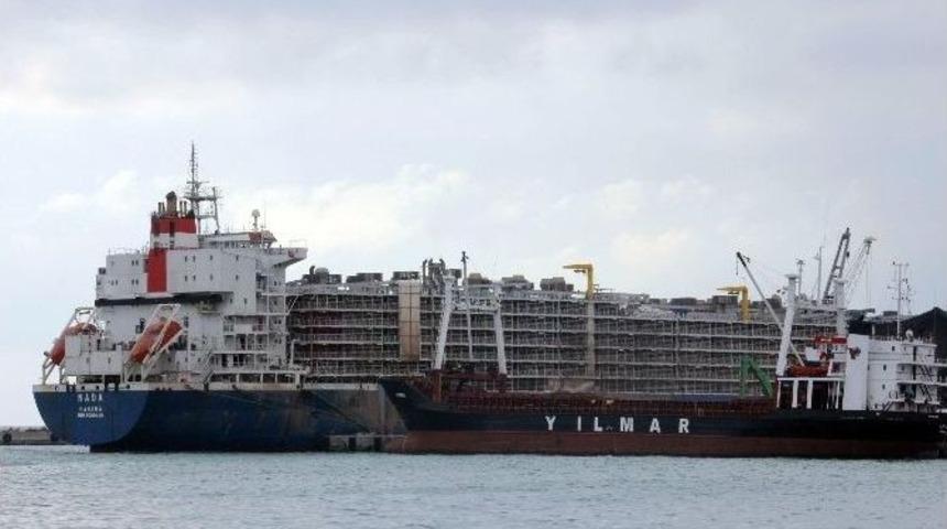 Brezilya&rsquo;dan T&uuml;rkiye&rsquo;ye 16 Bin 500 Hayvan Getirildi