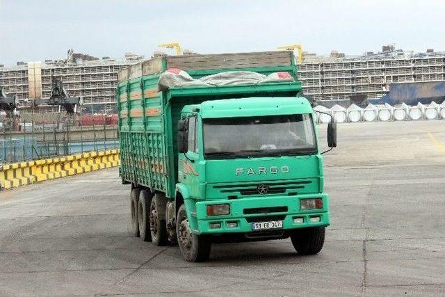 Brezilya’dan Türkiye’ye 16 Bin 500 Hayvan Getirildi