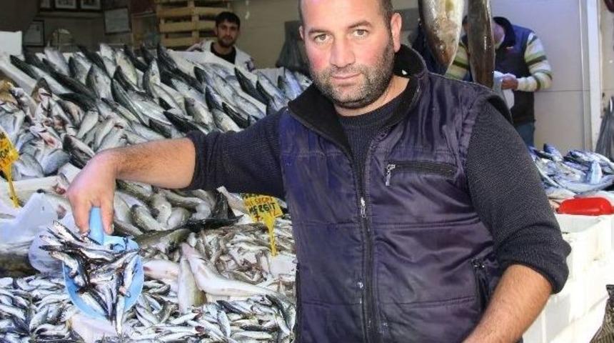 Hamsi İ&ccedil;in Meraklı Bekleyiş S&uuml;r&uuml;yor