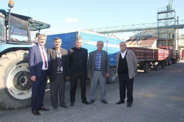 Bafra Tmo &Ccedil;eltik Alımlarına Başladı 1