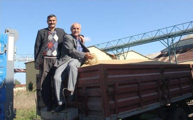 Bafra Tmo &Ccedil;eltik Alımlarına Başladı 2