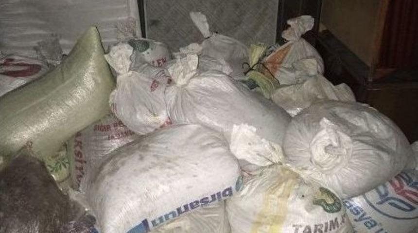 Niksar&rsquo;da 2 Ton Mahlep Hırsızlığı Zanlıları Yakalandı