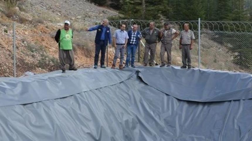 Ormanlar Gelir Getirici T&uuml;rlerle Dolduruluyor