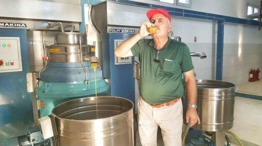 Mzo Zeytinyağı Fabrikası Sezonu A&ccedil;tı