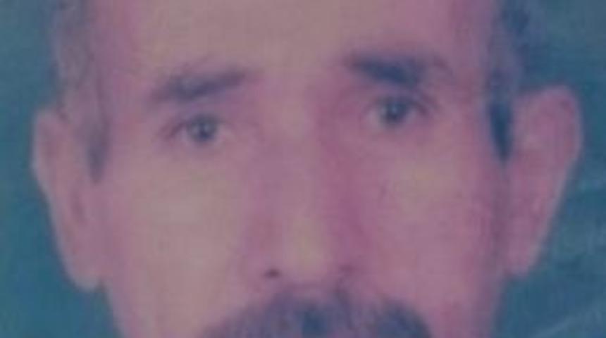 Kestiği Ağacın Altında Kalan İş&ccedil;i Hayatını Kaybetti