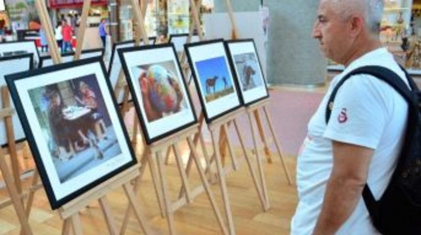 Hayvan Hakları Sergisi Şanlıurfa Piazza&rsquo;da