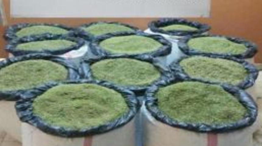 Bing&ouml;l&rsquo;de 2 Milyon Tl&rsquo;lik Esrar Ele Ge&ccedil;irildi