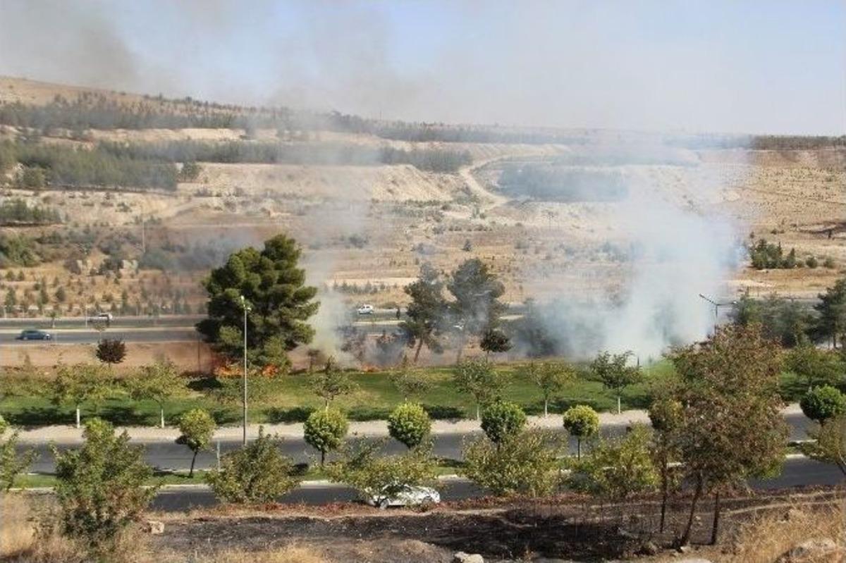 Şanlıurfa&rsquo;da Ağa&ccedil;lık Alanda Yangın