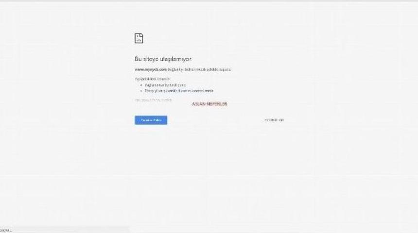 Aslan Neferler Tim Abd&rsquo;nin Dns Sunucularını Hedef Aldı