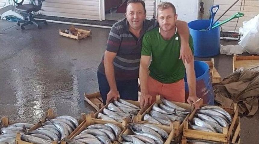 Marmara&rsquo;da Palamut Bolluğu