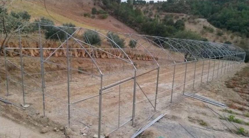 G&ouml;rdes&rsquo;e Hibe Destekli 10 Sera