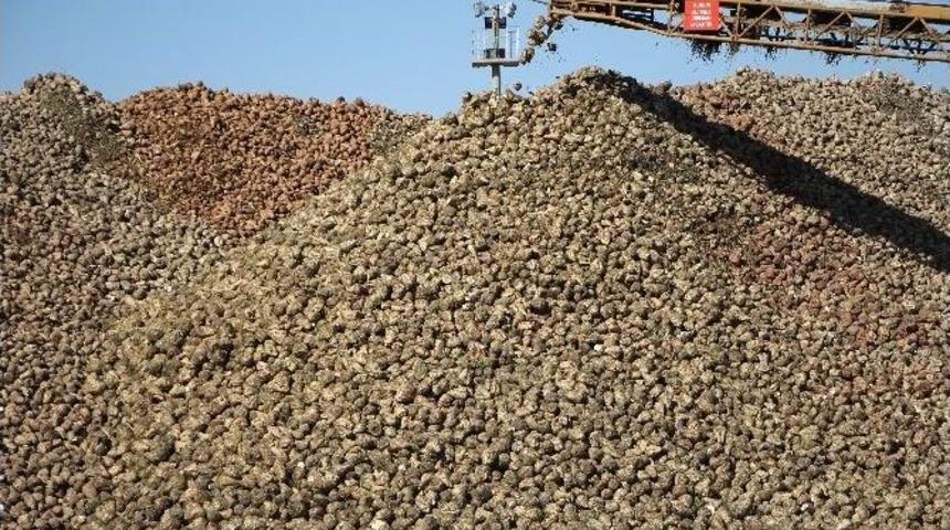 Malatya Şeker Fabrikası İlk Şekerleri Piyasaya S&uuml;rd&uuml;