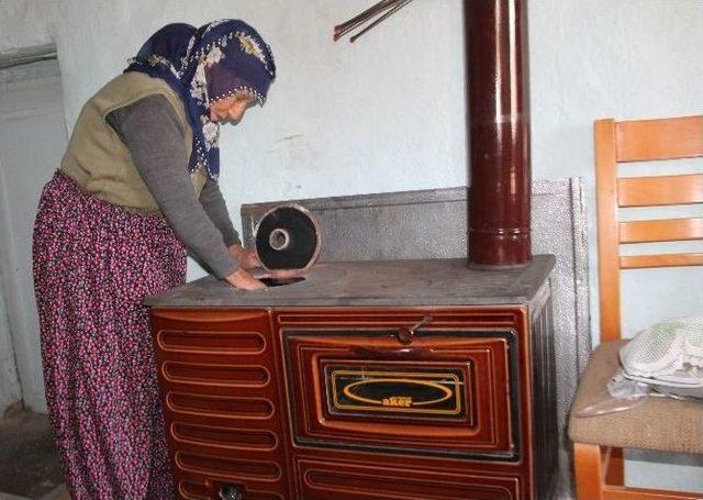 Feride Nine, Abd&rsquo;li Rose&rsquo;yi Bekliyor 1