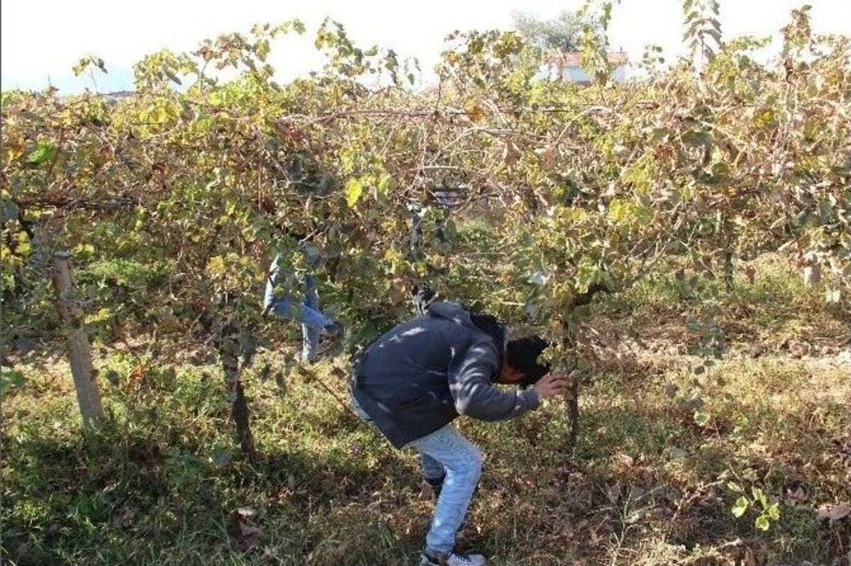 (&ouml;zel Haber) Minik Irmak Cinayetinde Aranan &Ccedil;apa Bulundu İddiası