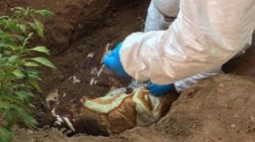 M&uuml;himmattan Sonra 2 Erkek Cesedi Bulundu