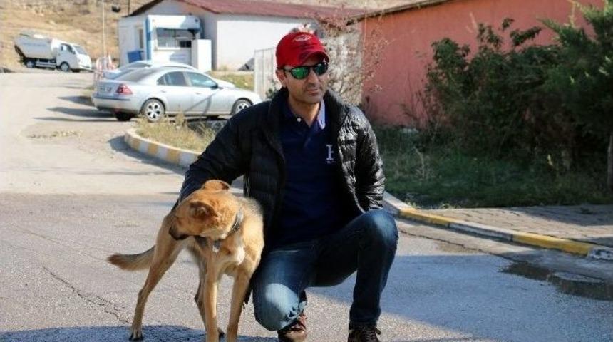 &Ouml;l&uuml;me Terk Edilen K&ouml;pek Sıcak Bir Yuvaya Kavuştu