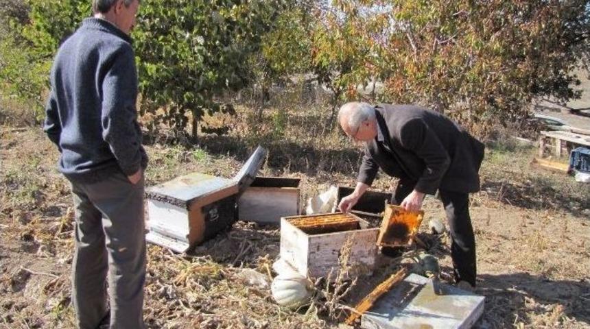 Hisarcık&rsquo;ta 30 Arı Kovanı Yakıldı