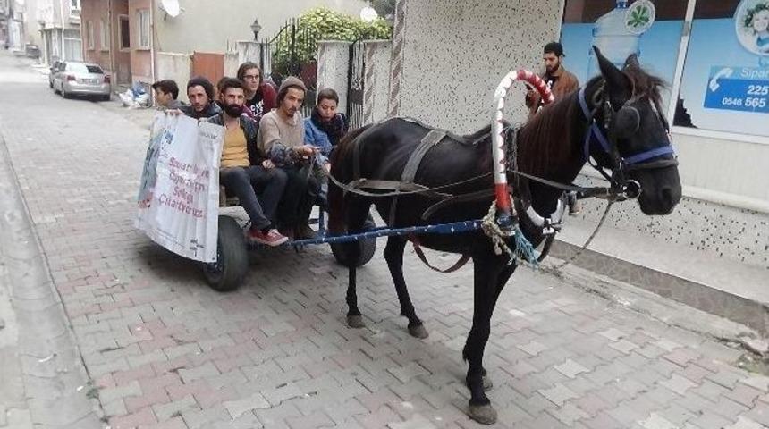 At Arabasında İstanbul&rsquo;a Sanat Yolculuğu