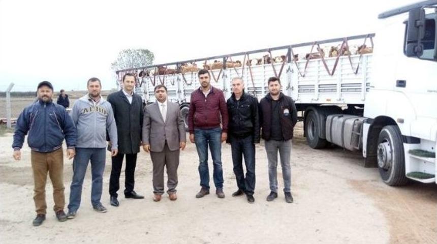 Gen&ccedil; &Ccedil;ift&ccedil;ilere Bir Tır D&uuml;ve Hibe Edildi