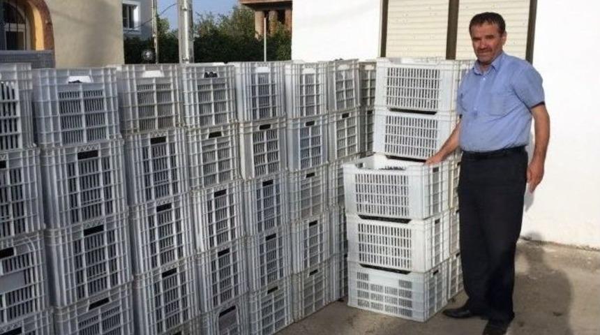 Didim&rsquo;de Dane Zeytin Fiyatları &Uuml;reticinin Y&uuml;z&uuml;n&uuml; G&uuml;ld&uuml;rd&uuml;