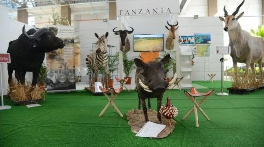 Tanzanya&rsquo;nın Vahşi Doğası Expo 2016&rsquo;da