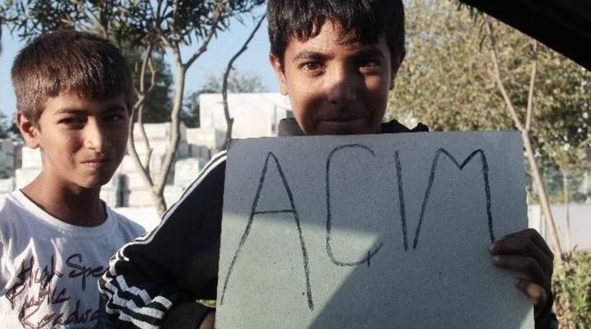 Savaşın &Ccedil;ocukları