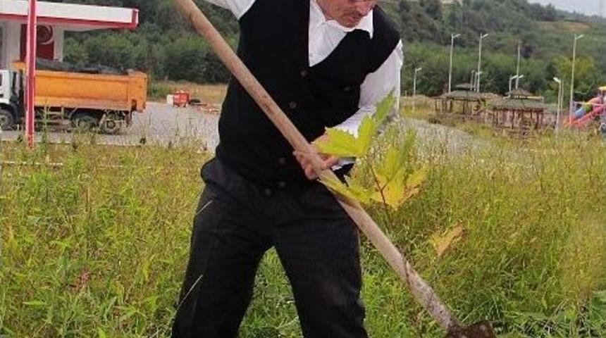 &Uuml;&ccedil; Yılda 100 Bin Ağa&ccedil; Dikti, Hedefi 1 Milyon