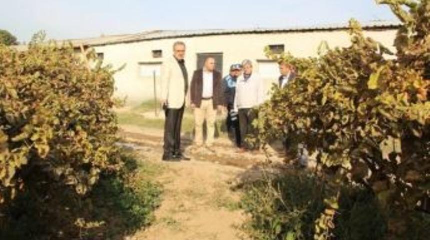 Başkan Kara&ccedil;oban&rsquo;dan Taziye Mesajı