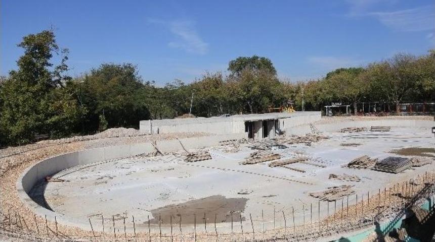 Buz Pateni Heyecanı K&uuml;lt&uuml;rpark&rsquo;ta Yaşanacak