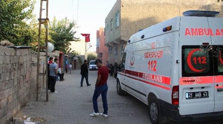 Şehit Ateşi, Diyarbakır&rsquo;a D&uuml;şt&uuml;