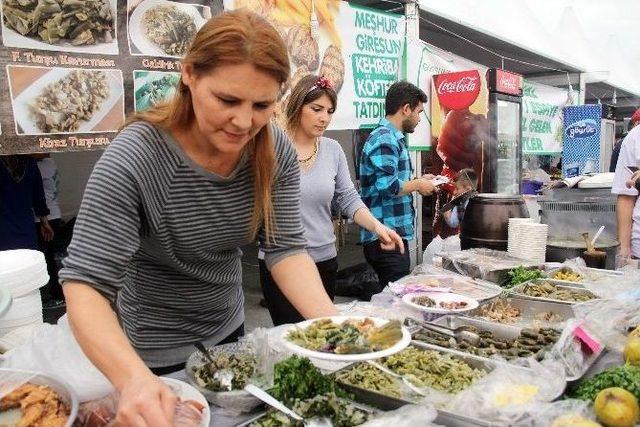 Giresun Mutfağı Görücüye Çıktı