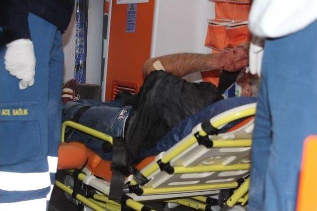Köpeğe Çarpan Sürücü Şarampole Uçtu! 2