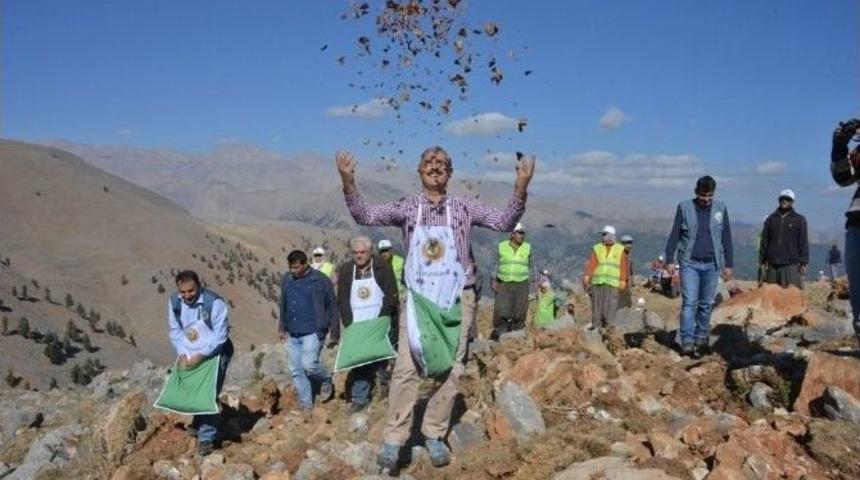 Orman B&ouml;lge M&uuml;d&uuml;rl&uuml;ğ&uuml;, Erozyon &Ouml;nlemek İ&ccedil;in &Ccedil;alışmalara Başladı
