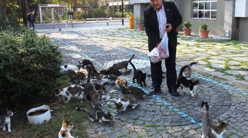 &rsquo;kedi B&ouml;l&uuml;ğ&uuml;&rsquo; Sabah İ&ccedil;timasında