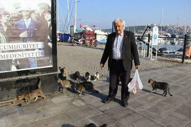 ’kedi Bölüğü’ Sabah İçtimasında