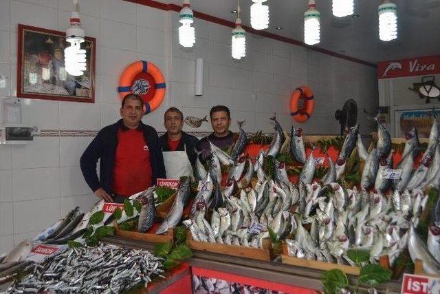 Balıkçıların Çinekop Ve Sarıkanat Bolluğu Beklentisi 1