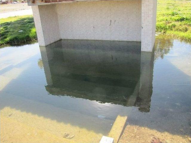 Bu Da Havuzlu &Ccedil;eşme 1