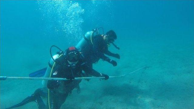 Gökova Koylarında Deniz Dibi Temizliği