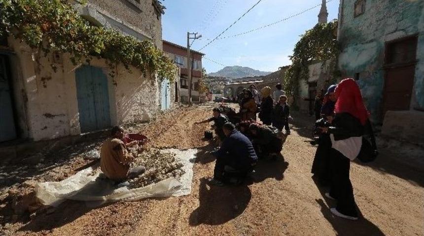 Fotoğraf&ccedil;ılar Yeni Sezona Develi İle Başladı